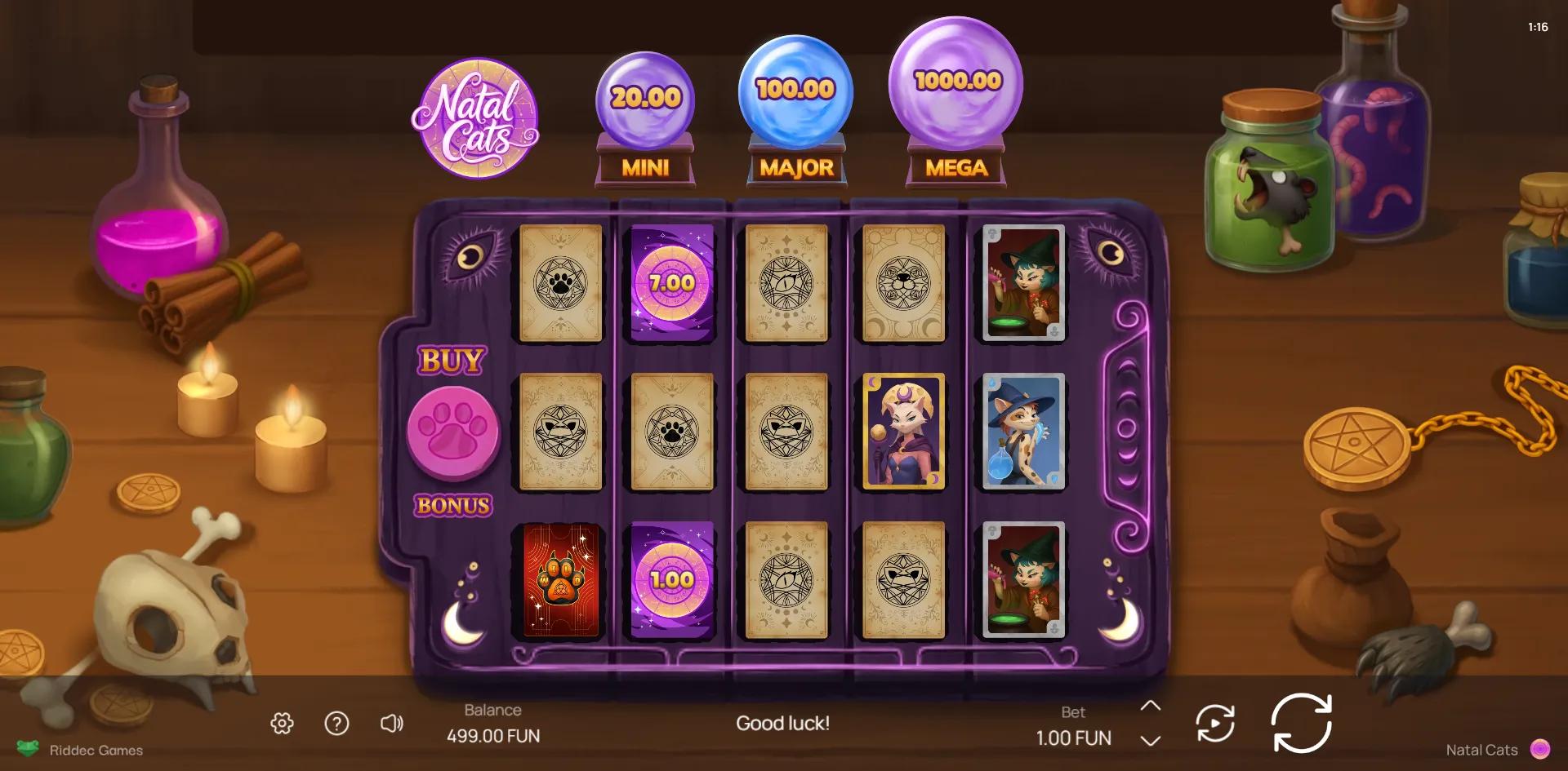 Natal Cats slot gameplay screenshot